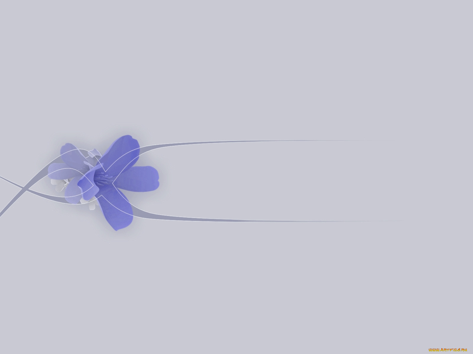 15, , desktop, decor